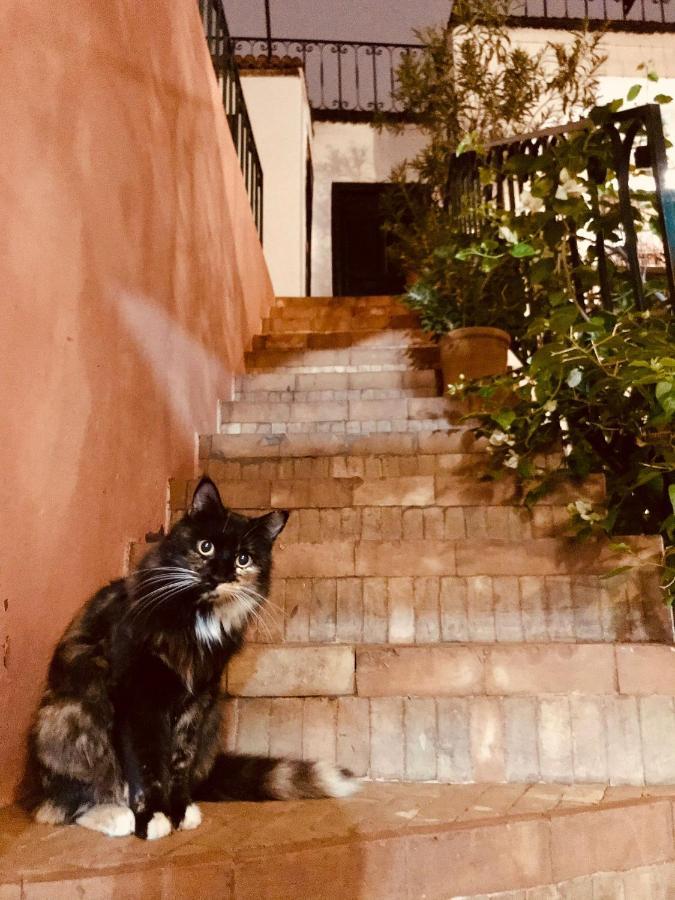 Riad Rockech Марракеш Екстер'єр фото